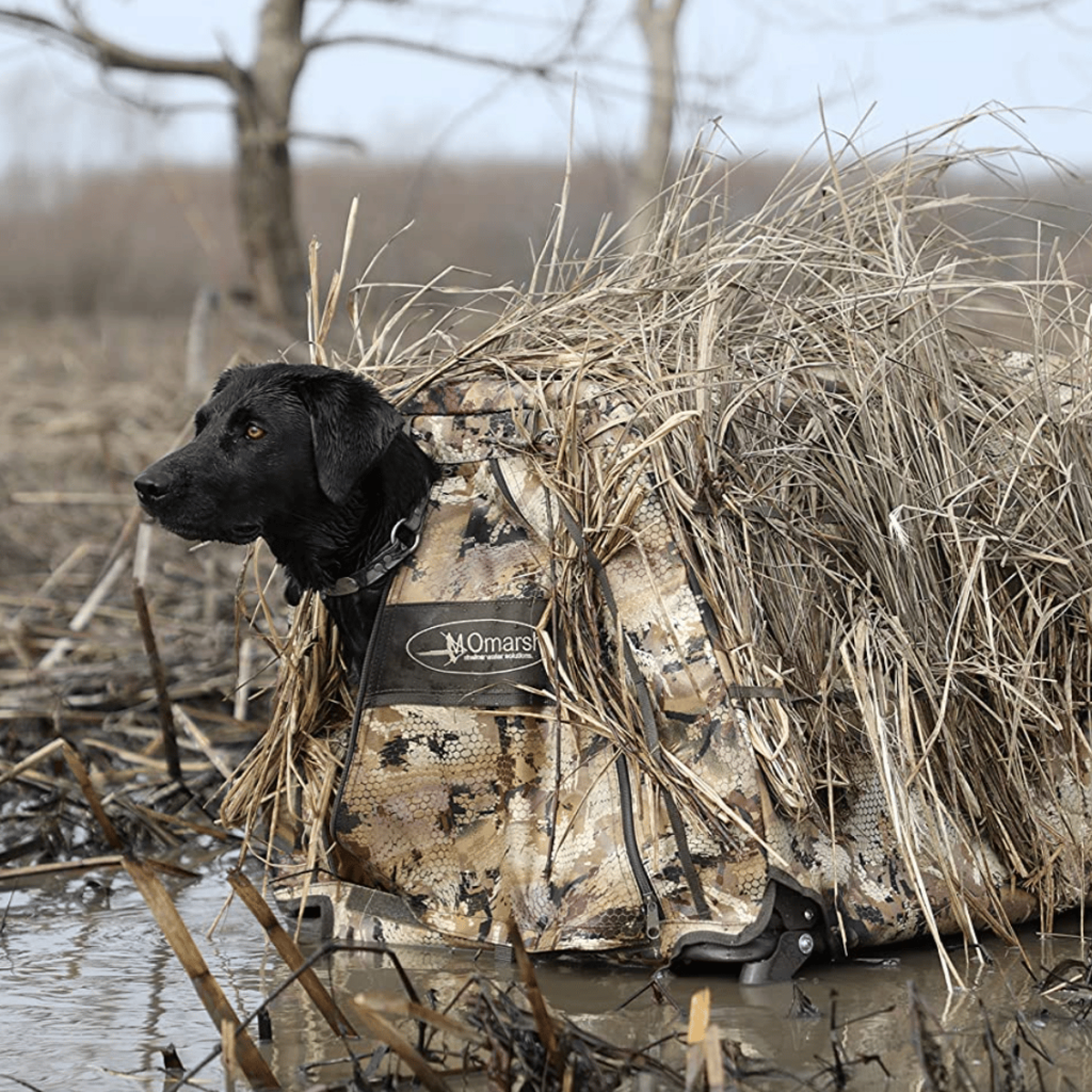 best hunting dog stand for duck hunting