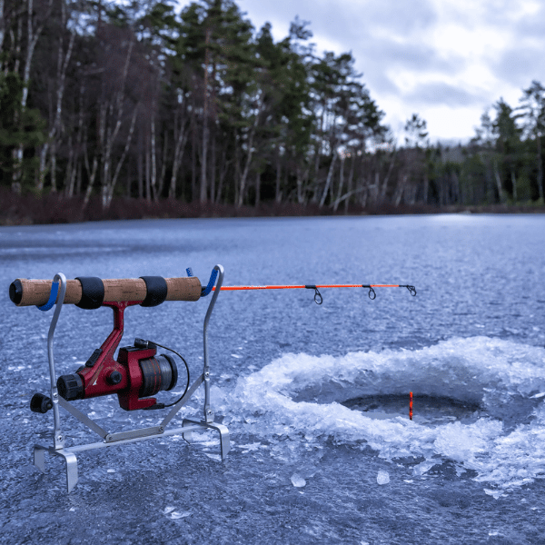 ice fishing for lake trout jigging