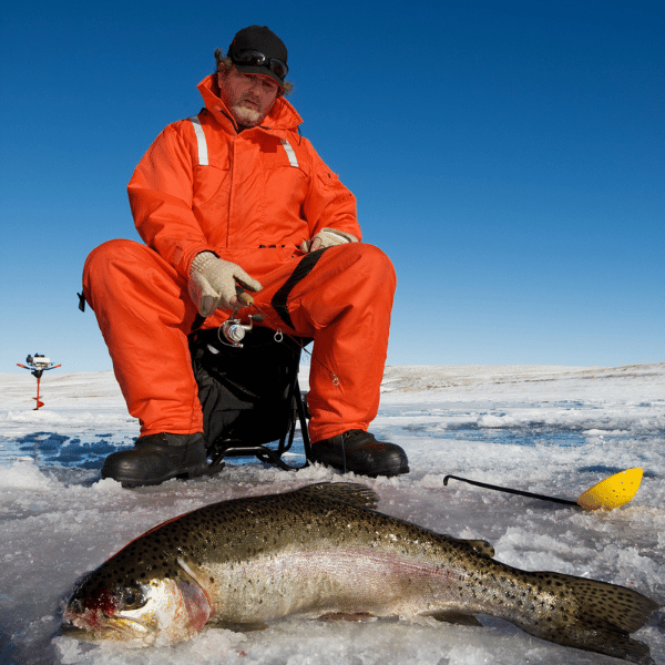 rainbow trout ice fishing