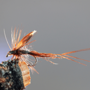 beginner guide to fly fishing insects to catch fish