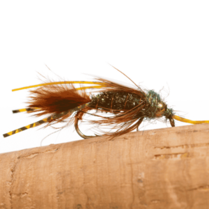 best fly fishing entomology insects