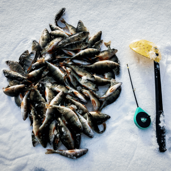 7 Best Ice Fishing Scoop Skimmers (2022 Buy Guide)