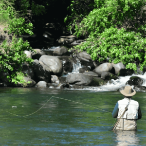 double nymph rig fly fishing