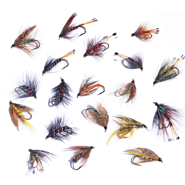 Beginner Guide to Fly Fishing Entomology
