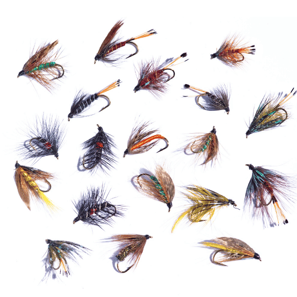 fly fishing entomology