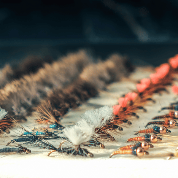 Fly Fishing Hook Size Guide