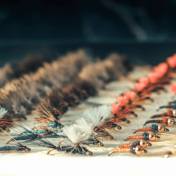 fly fishing hook size guide bass trout salmon carp redfish