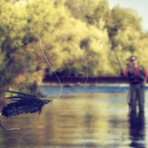 how to cast a fly for beginners