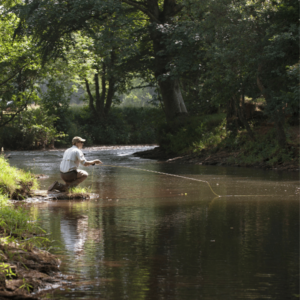 how to cast a fly for fly fishing