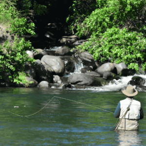 is fly fishing harder than spin fishing