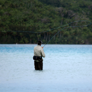 saltwater fly fishing for beginners